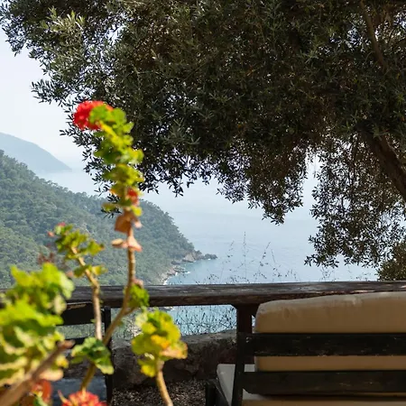 Uzak Spectacular Views In Kabak 公寓 *